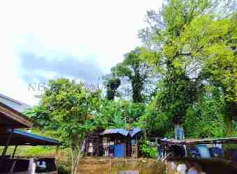 Residential Building Land