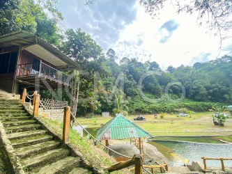 Campsite