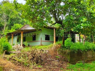 1 Storey Detached House