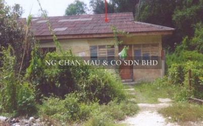 1 Storey Terrace House, End Lot, Low Cost
