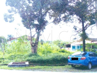 Detached House Plot