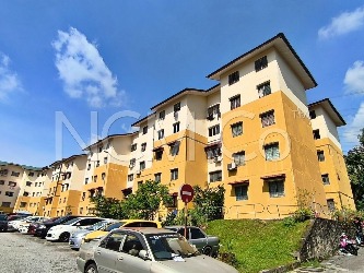 Flat, Intermediate, Low Cost