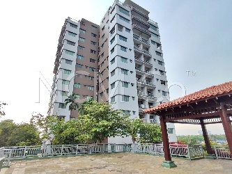 Apartment, Medium Cost