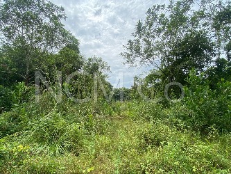Vacant Detached Plot