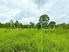 Agricultural Land