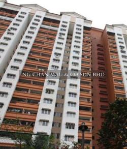 Apartment, Medium Cost