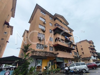 Shop Lot