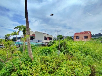Semi Detached Plot