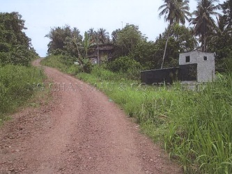 Agricultural Land