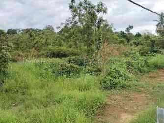 Land