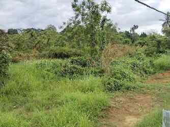 Detached Plot