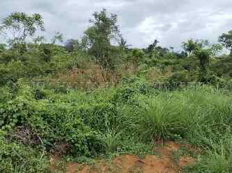 Land