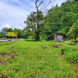 Freehold Agricultural Land