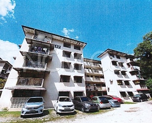 Apartment, Medium Cost