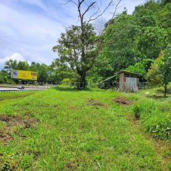 Freehold Agricultural Land