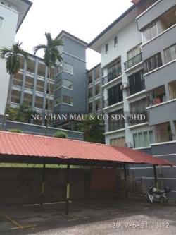 Condominium, Corner Lot