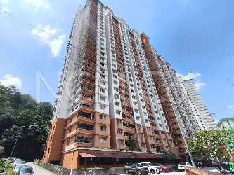 Apartment, Medium Cost