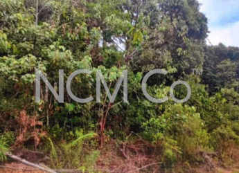 Residential Land