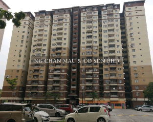 Apartment, Medium Cost