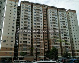 Apartment, Medium Cost