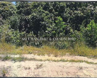 Residential Land