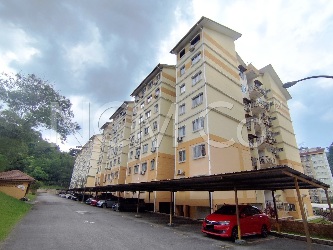 Apartment, Medium Cost