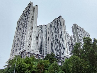 Apartment, Corner Lot