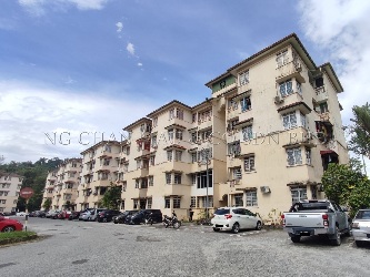 Apartment, Medium Cost