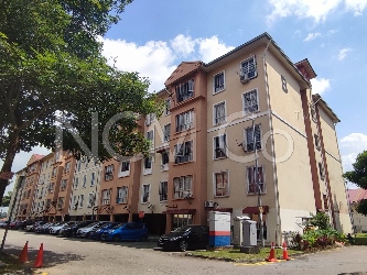 Apartment, Medium Cost