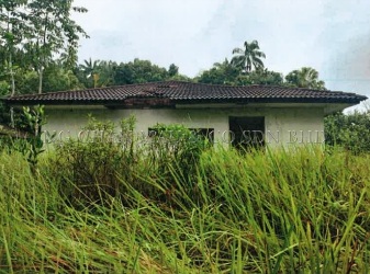 1 Storey Bungalow House