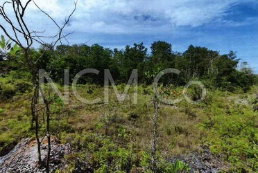 Residential Land