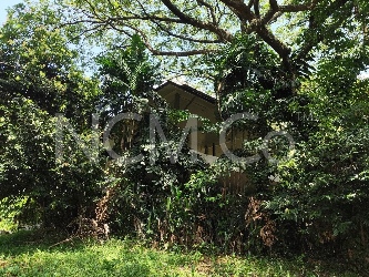 2 Storey Detached House