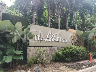 3 Storey Semi Detached House, Intermediate