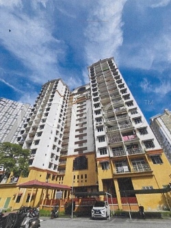 Apartment, Medium Cost