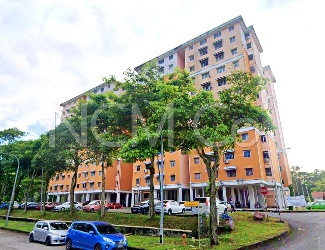 Apartment, Low-Medium Cost