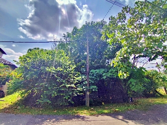 Vacant Detached Plot, Intermediate
