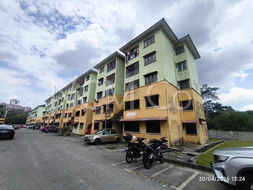 Apartment, Medium Cost