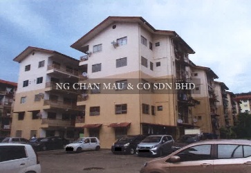 Flat, Intermediate, Low Cost