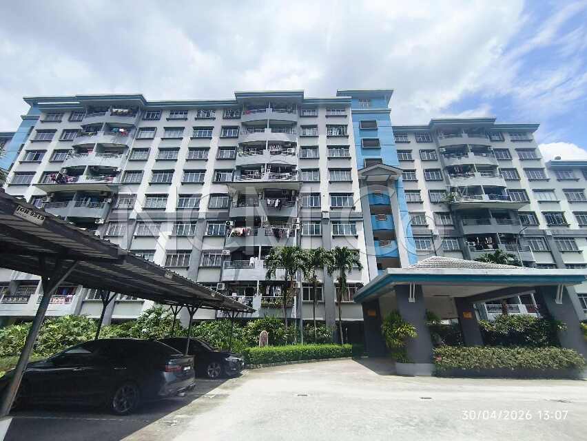 Apartment, Medium Cost
