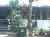1 Storey Terrace House, Intermediate, Low Cost, Renovated