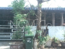 1 Storey Terrace House, Intermediate, Low Cost, Renovated
