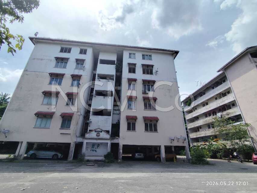 Apartment, Medium Cost