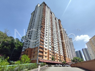 Apartment, Intermediate