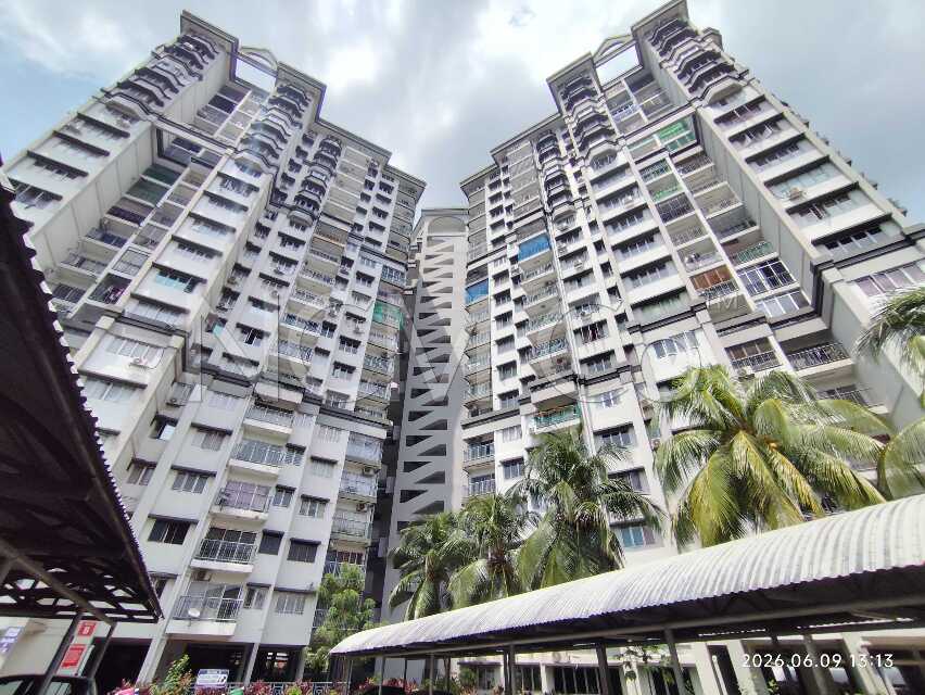Apartment, Medium Cost
