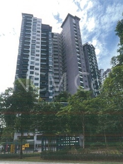 Condominium