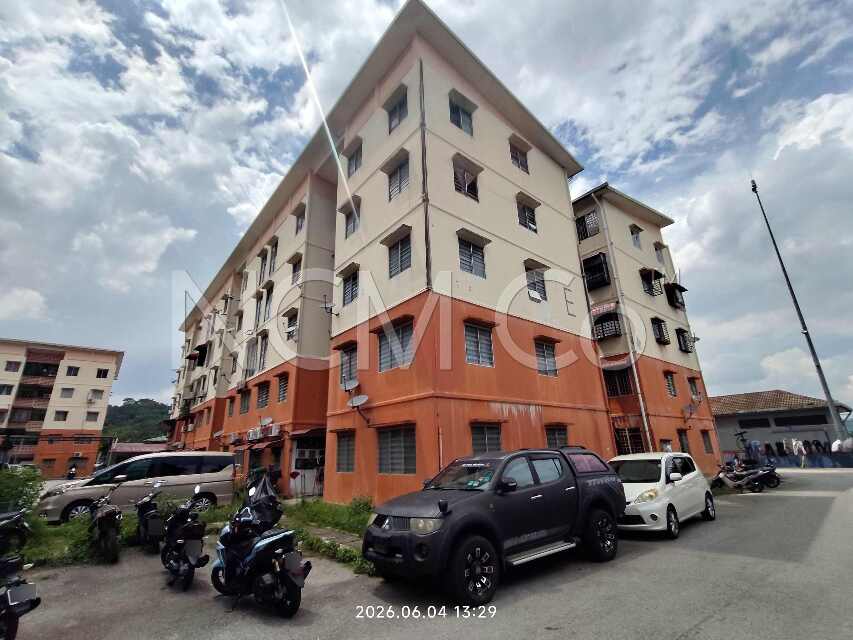 Apartment, Intermediate, Low Cost