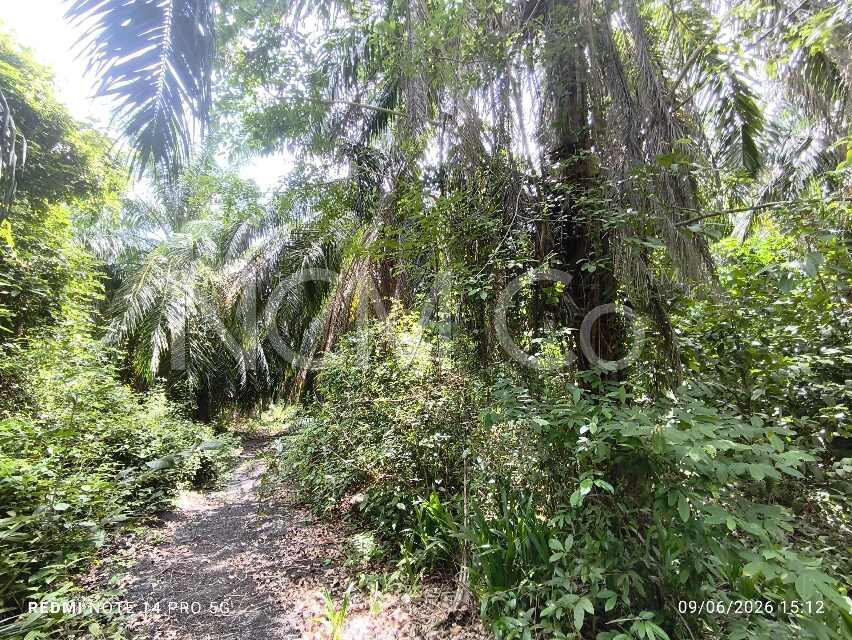 Agricultural Land with Development Potential and Zoned for Residential Used