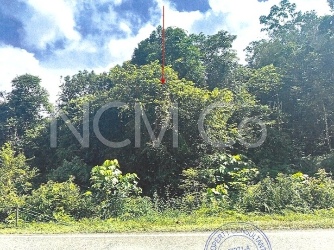 Vacant Land