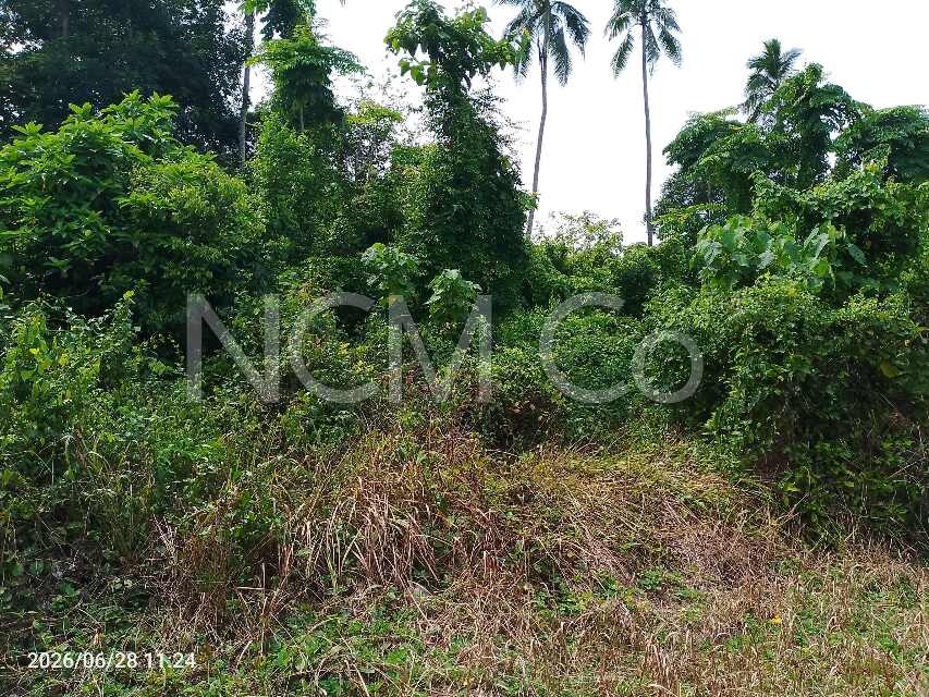 Vacant Residential Land
