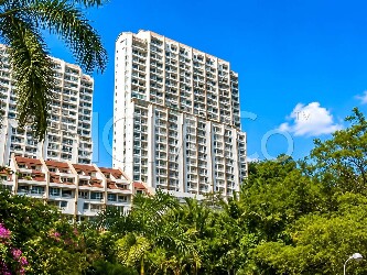 Condominium